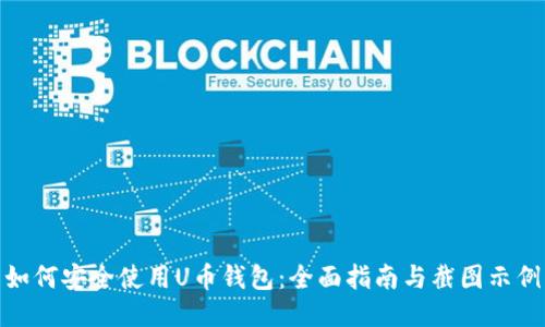 如何安全使用U币钱包:全面指南与截图示例