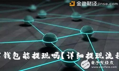 数字钱包能提现吗?详细提现流程一览