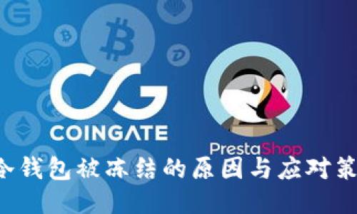 u冷钱包被冻结的原因与应对策略
