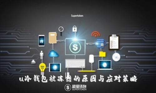 u冷钱包被冻结的原因与应对策略
