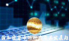 中国加密货币的种类及其发展趋势