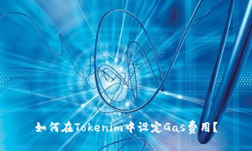 如何在Tokenim中设定Gas费用?