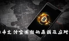 虚拟币支付宝冻结的原因及应对策略