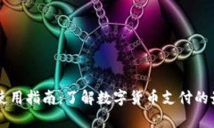 BitPay使用指南：了解数字货币支付的最