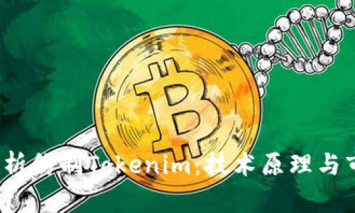 全面解析仿制Tokenim:技术原理与市场前景
