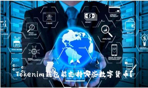 Tokenim钱包能支持哪些数字货币?