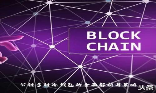 公链多链冷钱包的全面解析与策略