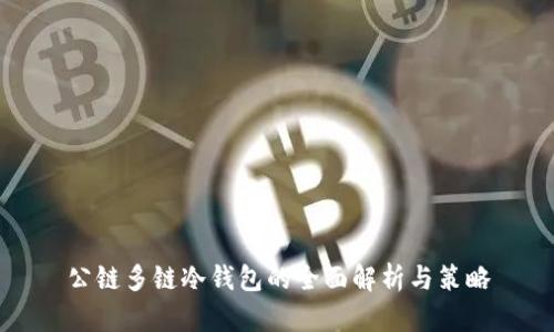 公链多链冷钱包的全面解析与策略