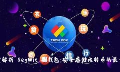 : 深度解析 SegWit 冷钱包：安全存储比