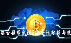 冷钱包能否携带出境？安全性分析与使用指南
