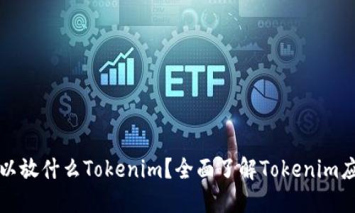莱特币可以放什么Tokenim？全面了解Tokenim应用与选择
