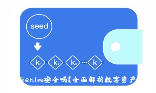 钱放Tokenim安全吗？全面解析数字资产安全性