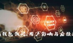 Tokenim钱包倒闭：用户影响与后续处理方法