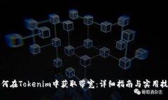 如何在Tokenim中获取带宽：详细指南与实用技巧
