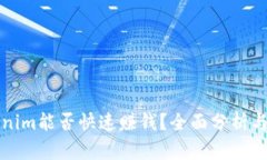 Tokenim能否快速赚钱？全面分析与指南