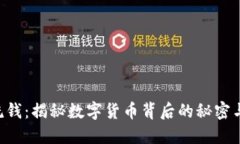 Tokenim洗钱：揭秘数字货币背后的秘密与防范措施