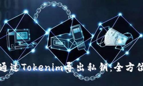 如何通过Tokenim导出私钥：全方位指南