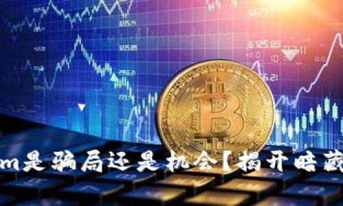 Tokenim是骗局还是机会？揭开暗藏的真相